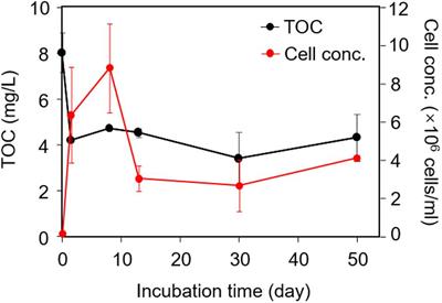 Microbial Interactions With Dissolved Organic Matter Drive Carbon Dynamics and Community Succession